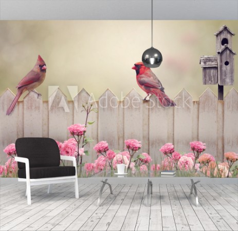 Picture of Northern Cardinal Male and Female